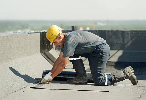 Best Commercial Insulation in Elkton, KY