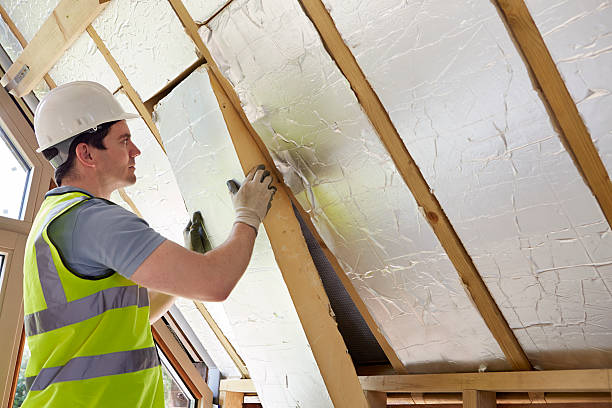 Best Insulation Maintenance and Repair in Elkton, KY